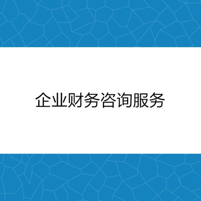 企业财务咨询服务